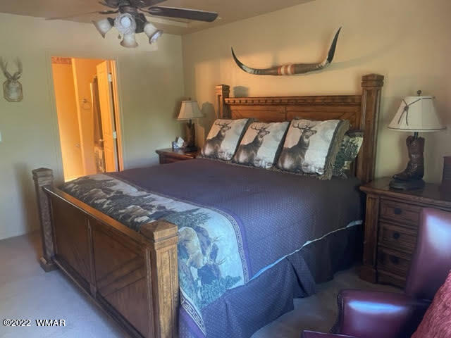 6070 West Starlight Ridge Parkway Lakeside, AZ 85929 - Photo 19 of 29