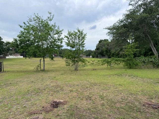 2032 Southwest 252nd Street Newberry, FL 32669 - Photo 22 of 23 a view of a garden with a tree
