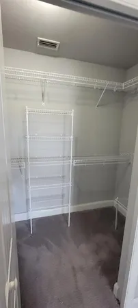 a view of walk in closet with empty racks