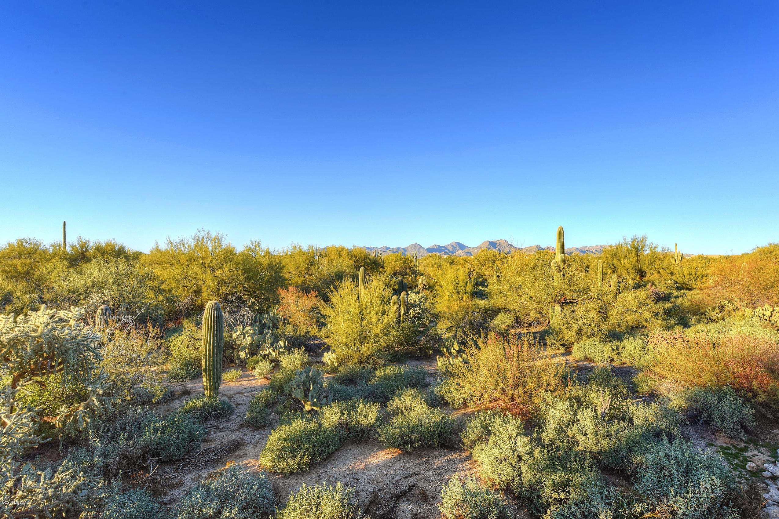 11439 North Moon Ranch Place Marana, AZ 85658 - Photo 4 of 31