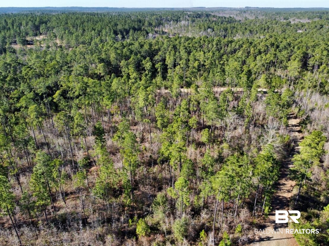White Road Bay Minette, AL 36507 - Photo 4 of 32 Drone / aerial view featuring a wooded view