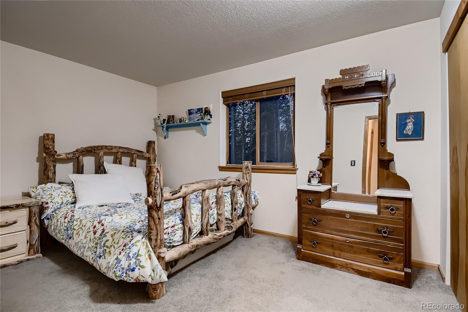270 Lake Road Idaho Springs, CO 80452 - Photo 23 of 40 Gallery Image 23