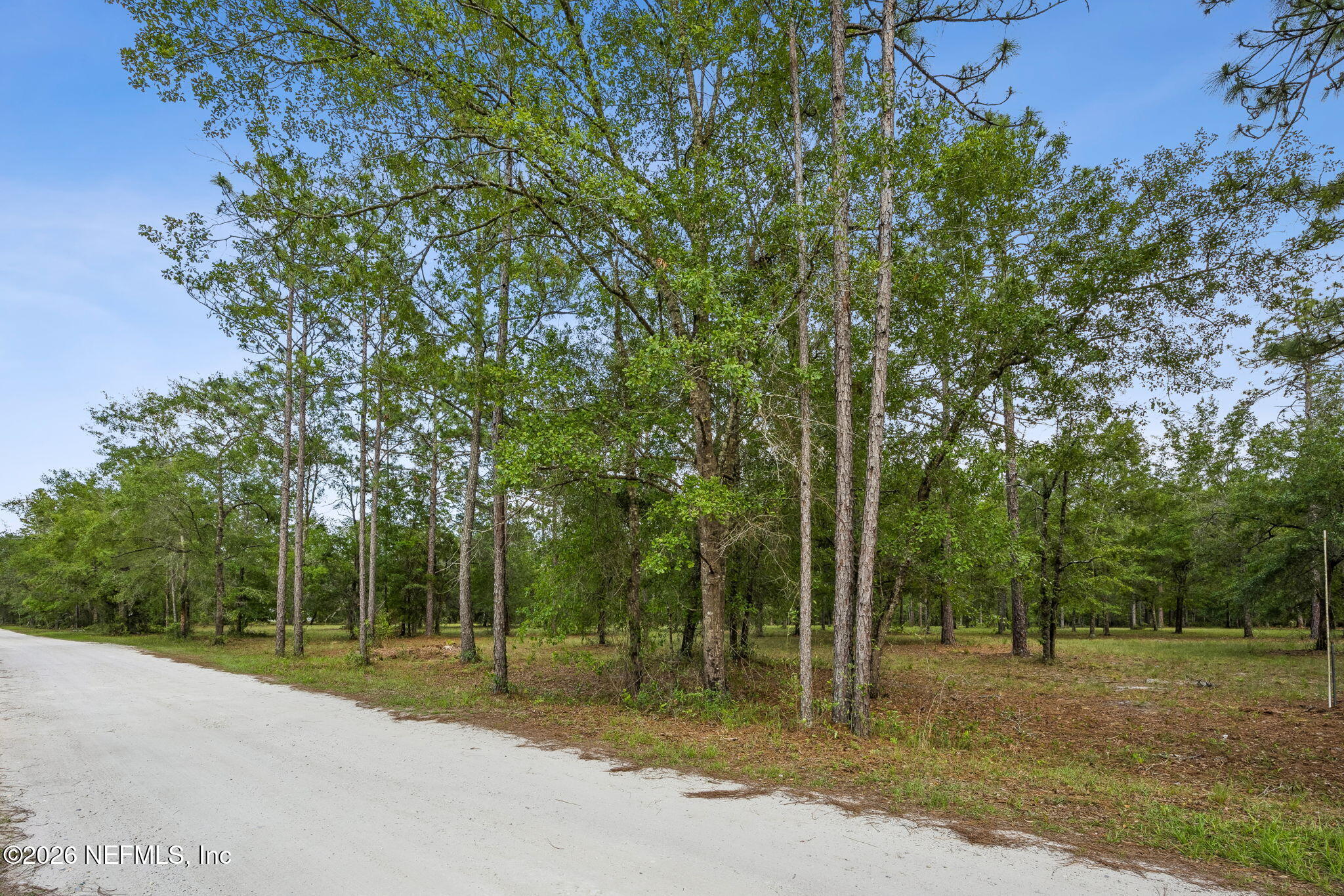 6015 Plantation Court Keystone Heights, FL 32656 - Photo 13 of 16 1-web-or-mls-6015 Plantation Ct-1
