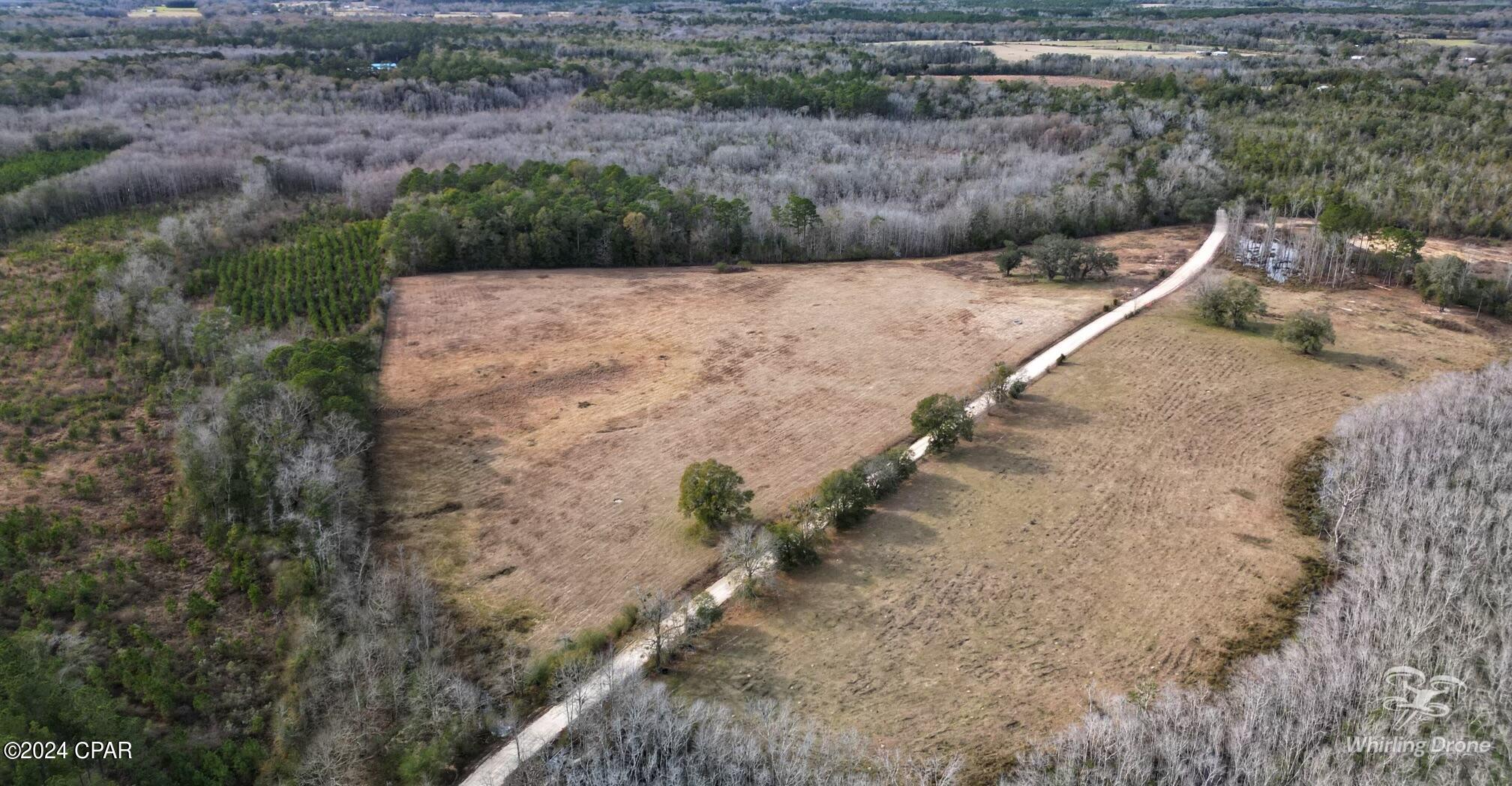 0 Old Ridge Road Bonifay, FL 32425 - Photo 3 of 8 Gallery Image 3