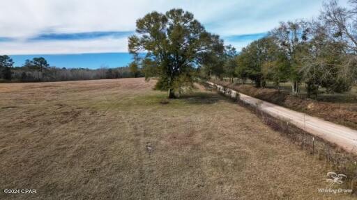 0 Old Ridge Road Bonifay, FL 32425 - Photo 8 of 8 Gallery Image 8