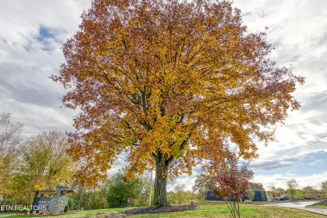 $528,999 | 410 Fleeta Williams Way, Sevierville, TN 37862