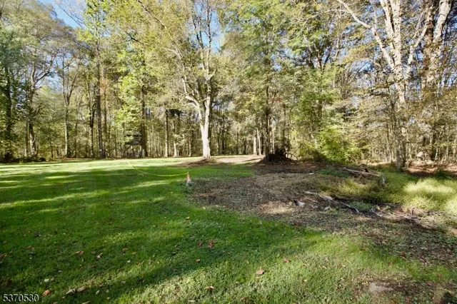 a view of yard with green space