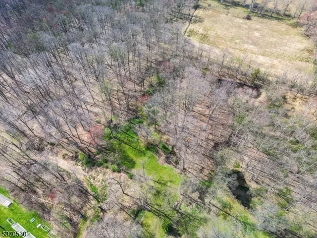a backyard of a house with a yard and plants