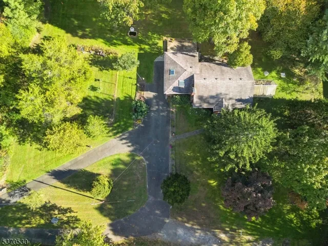 a view of a garden with plants