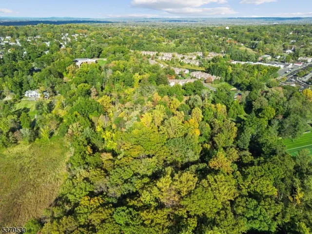 $2,550,000 | 685 Shunpike Road, Green Village, NJ 07935