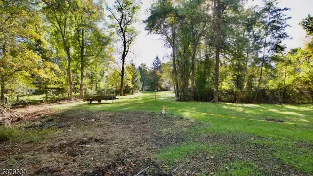 a view of a big yard with plants and large trees