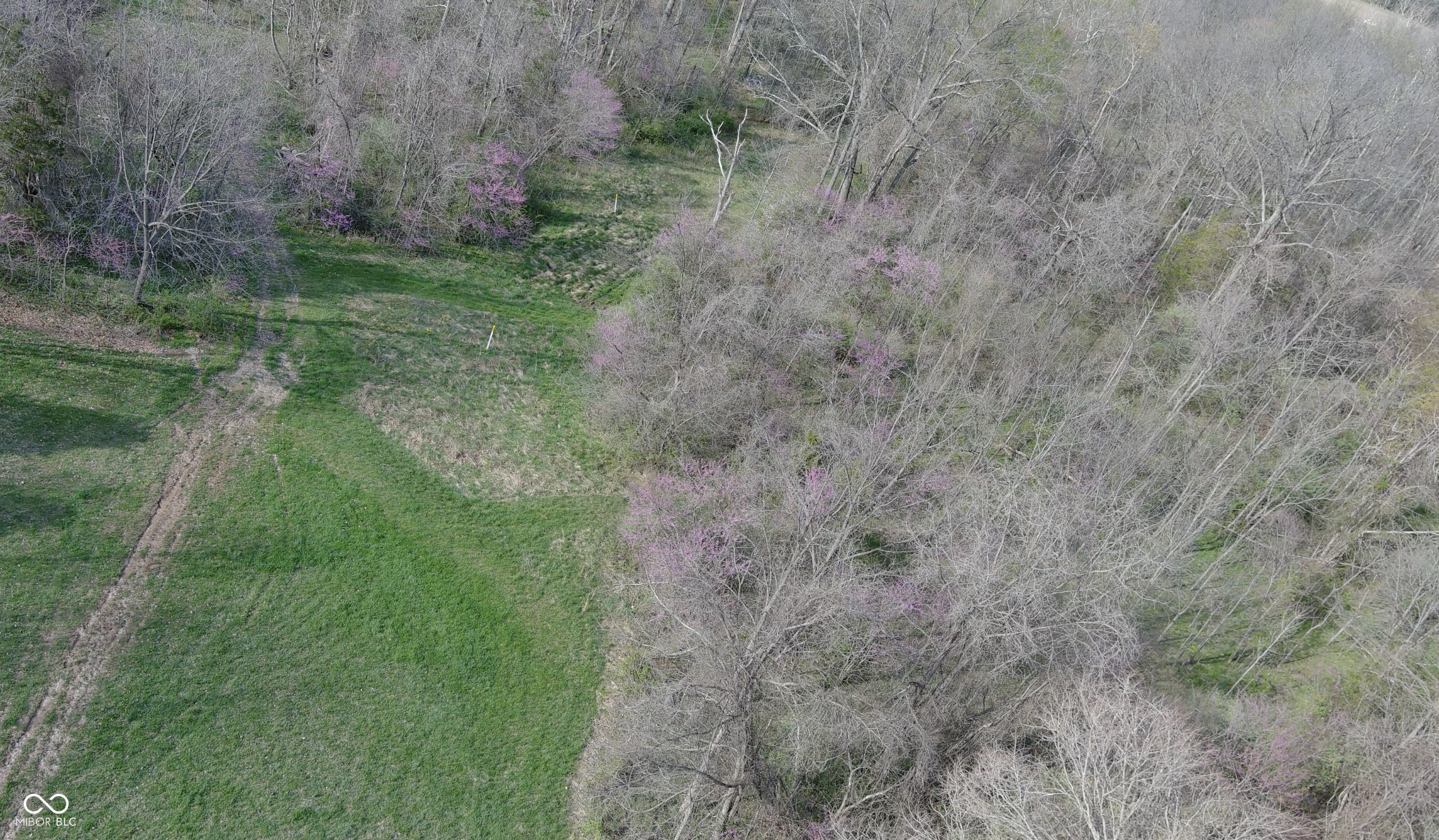 0 West Old Nashville Road Columbus, IN 47201 - Photo 12 of 12