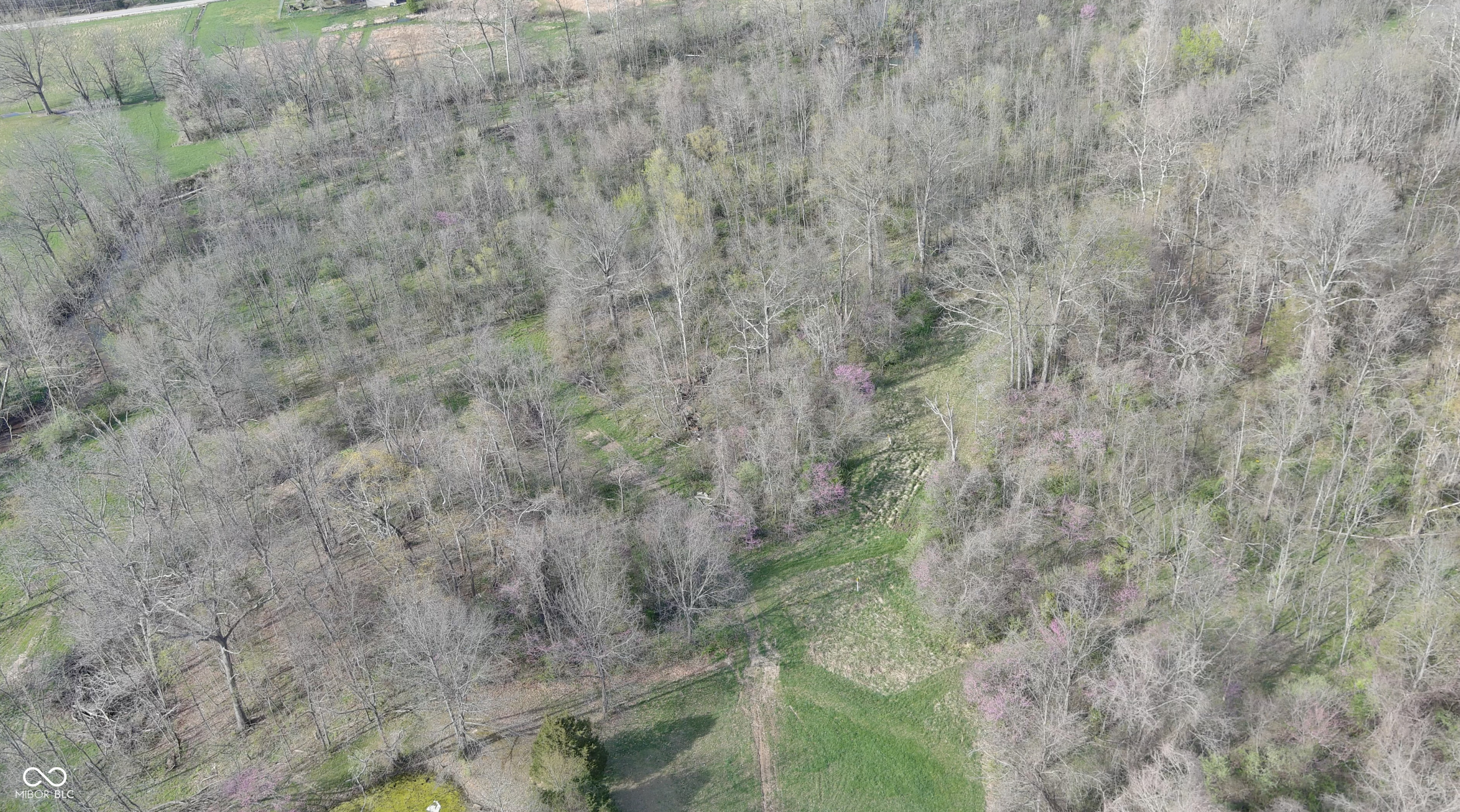 0 West Old Nashville Road Columbus, IN 47201 - Photo 4 of 12