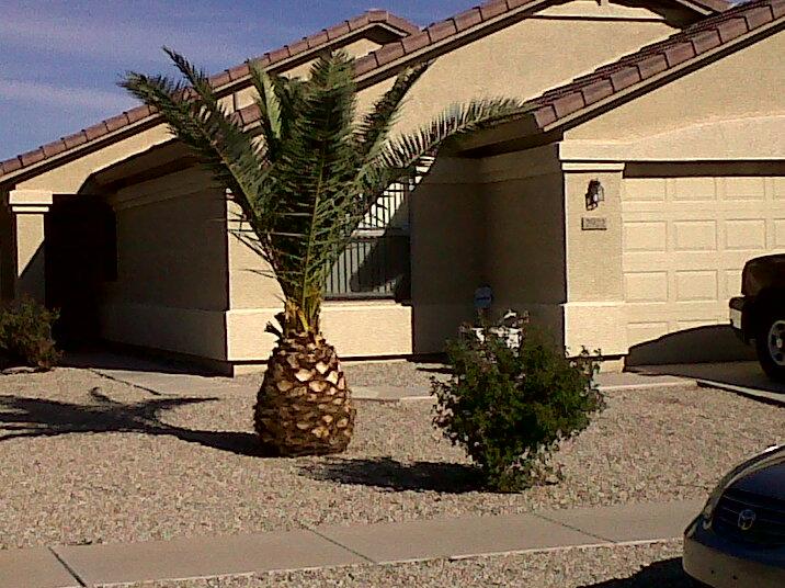 2922 East Sierrita Road San Tan Valley, AZ 85143 - Photo 1 of 14 FRONT