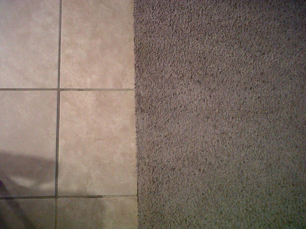 2922 East Sierrita Road San Tan Valley, AZ 85143 - Photo 8 of 14 flooring