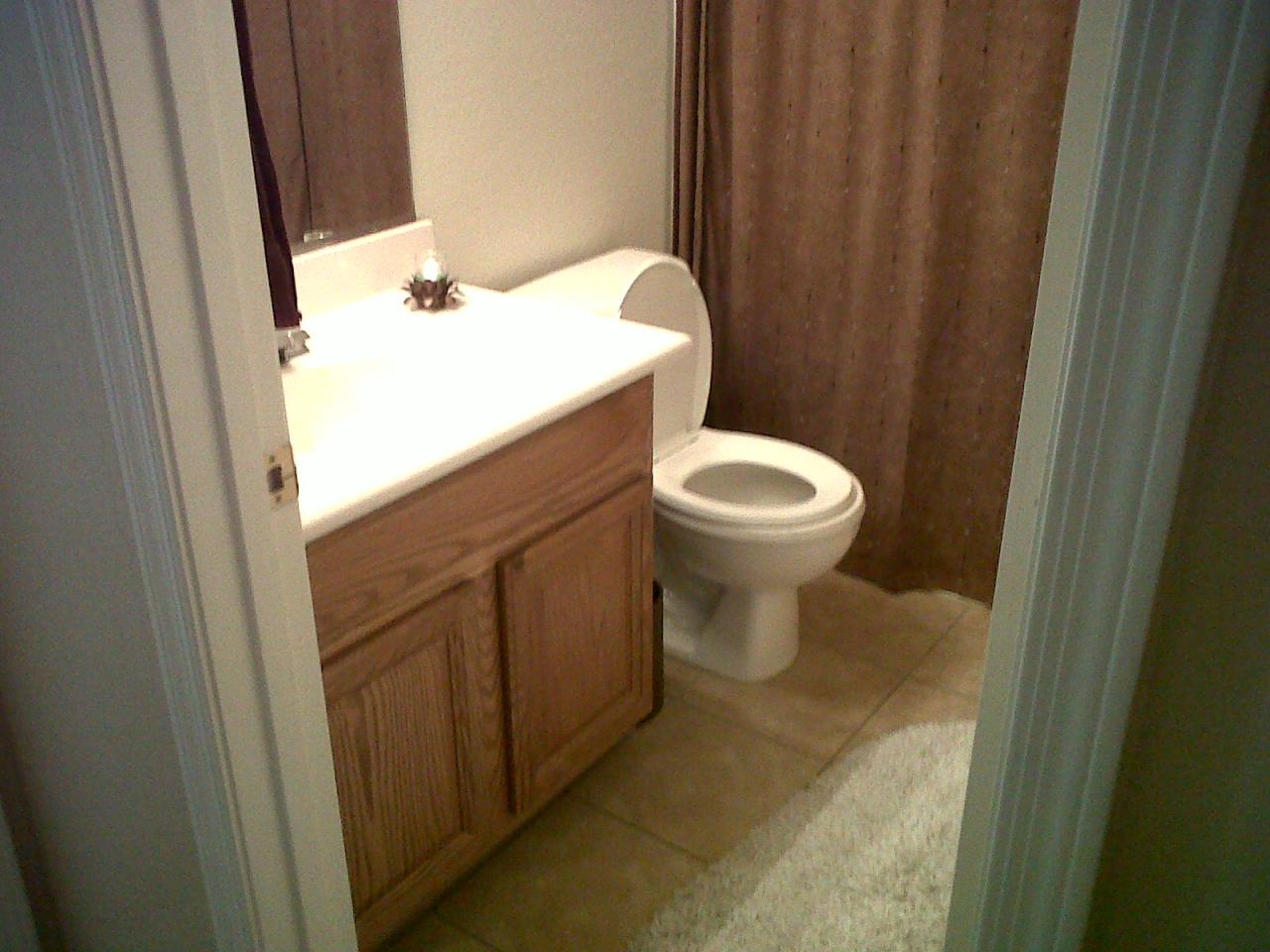 2922 East Sierrita Road San Tan Valley, AZ 85143 - Photo 10 of 14 hall bath