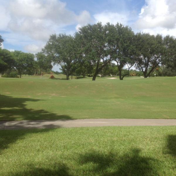 1912 Bridgewood Drive, Unit 1912 Boca Raton, FL 33434 - Photo 23 of 26 VIEW FROM KITCHEN PORCH