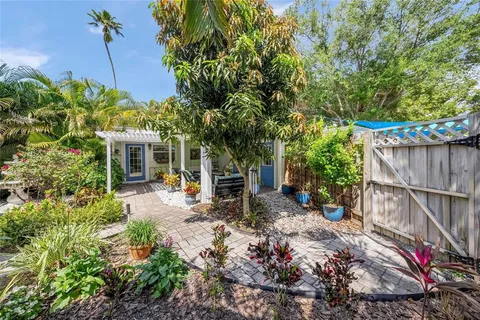 a view of a backyard with plants and large trees
