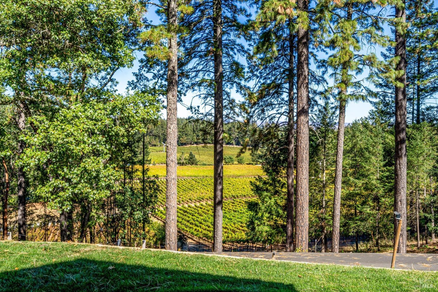 1155 Las Posadas Road Angwin, CA 94508 - Photo 56 of 74