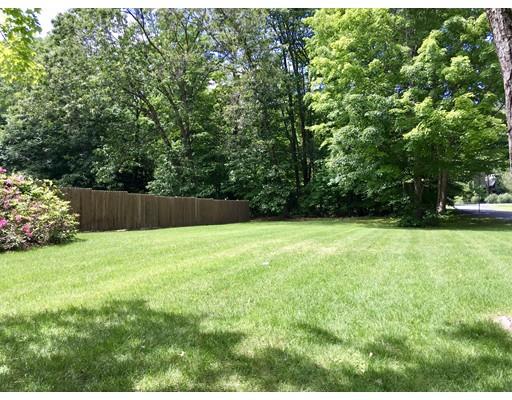 254 Green River Road Greenfield, MA 01301 - Photo 8 of 31 a view of a yard with a tree