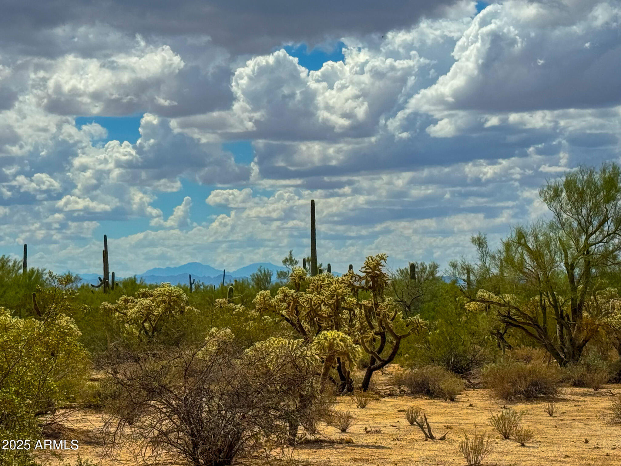 0 South Twin Hawk Lane Marana, AZ 85658 - Photo 12 of 28