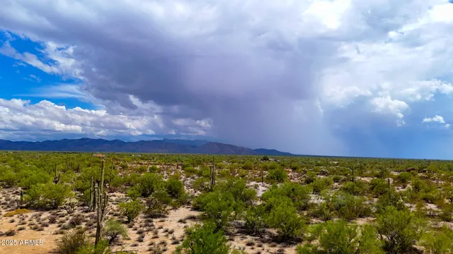 a street sign sitting on the side of a road