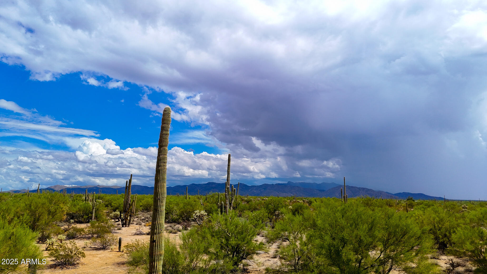 0 South Twin Hawk Lane Marana, AZ 85658 - Photo 17 of 28 a view of a yard
