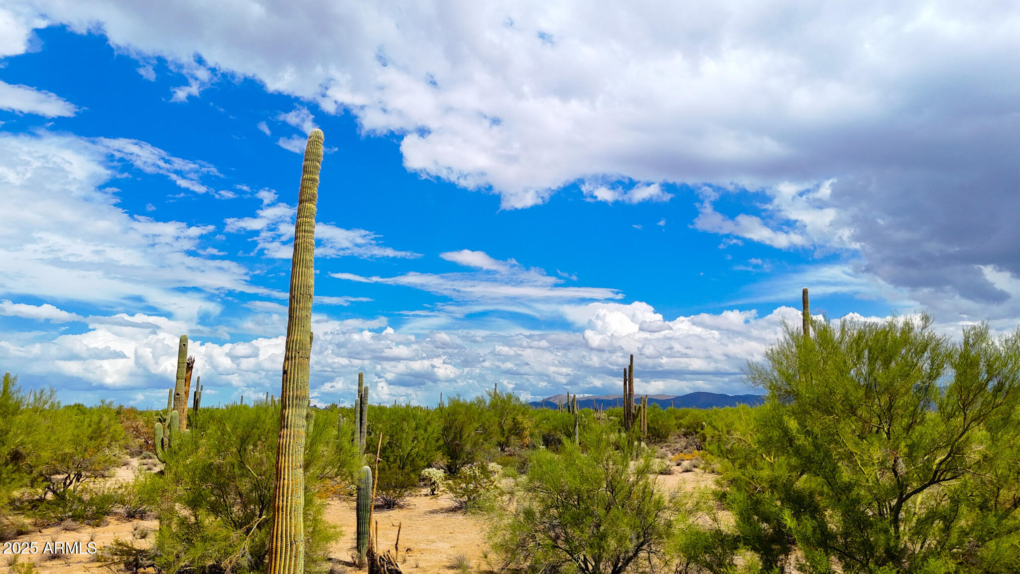 0 South Twin Hawk Lane Marana, AZ 85658 - Photo 19 of 28