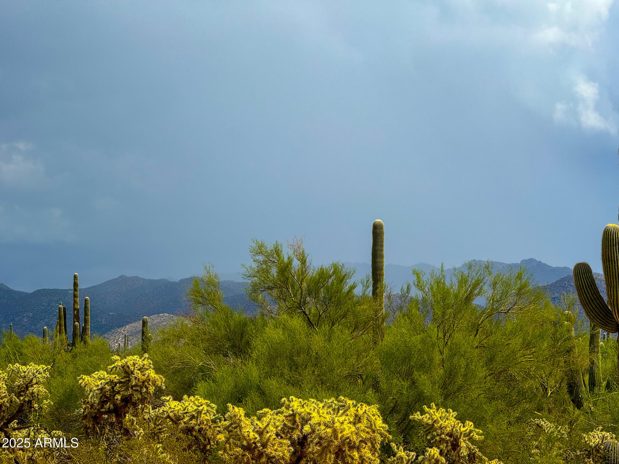 0 South Twin Hawk Lane Marana, AZ 85658 - Photo 2 of 28 a view of a lake with a building in background