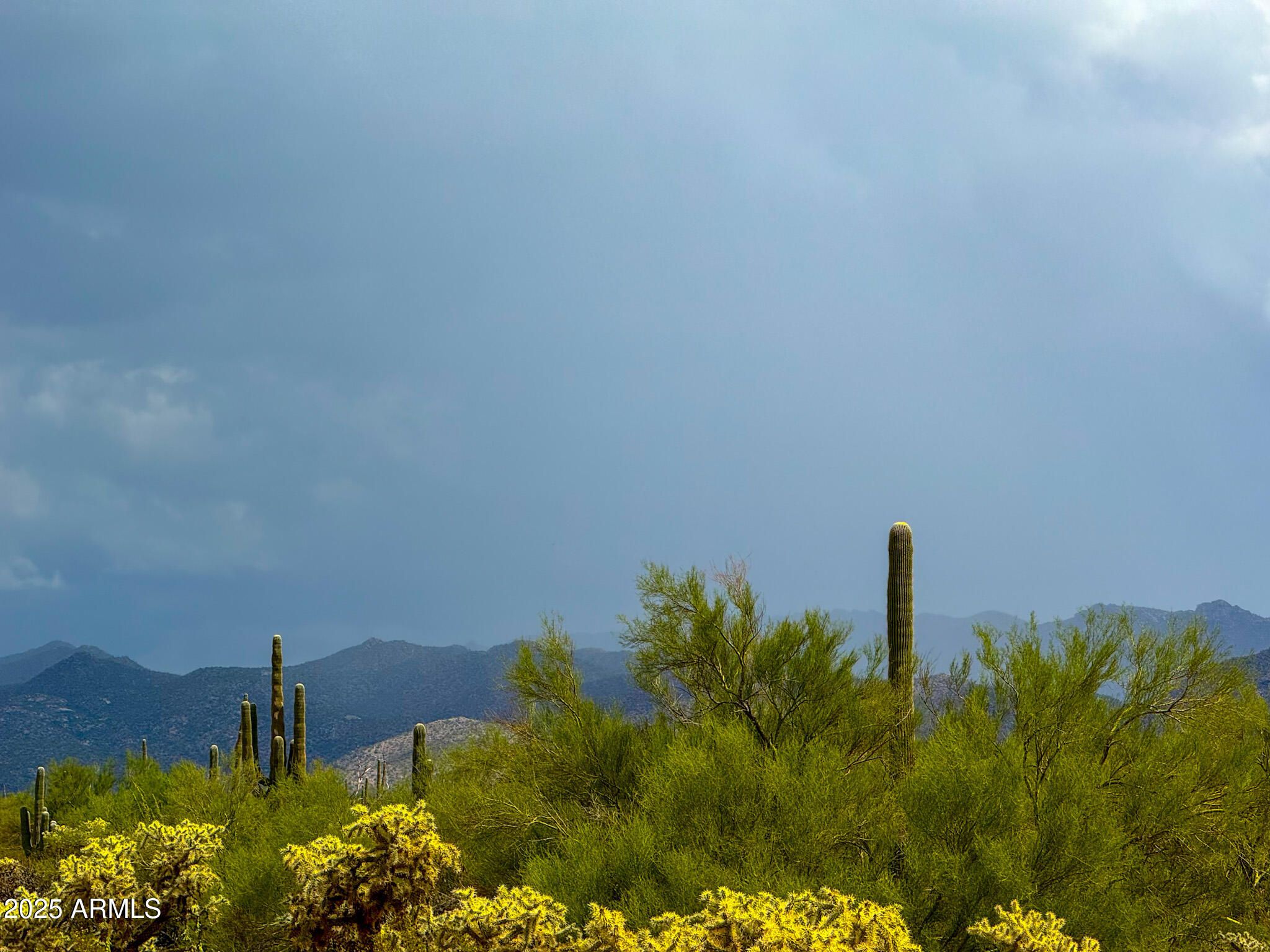 0 South Twin Hawk Lane Marana, AZ 85658 - Photo 3 of 28 a view of a garden