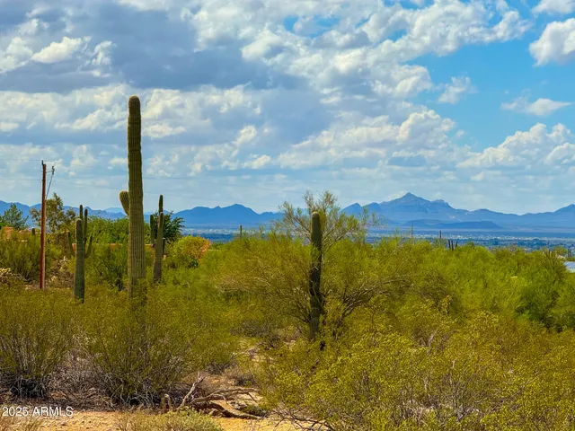 a view of a yard with an ocean view