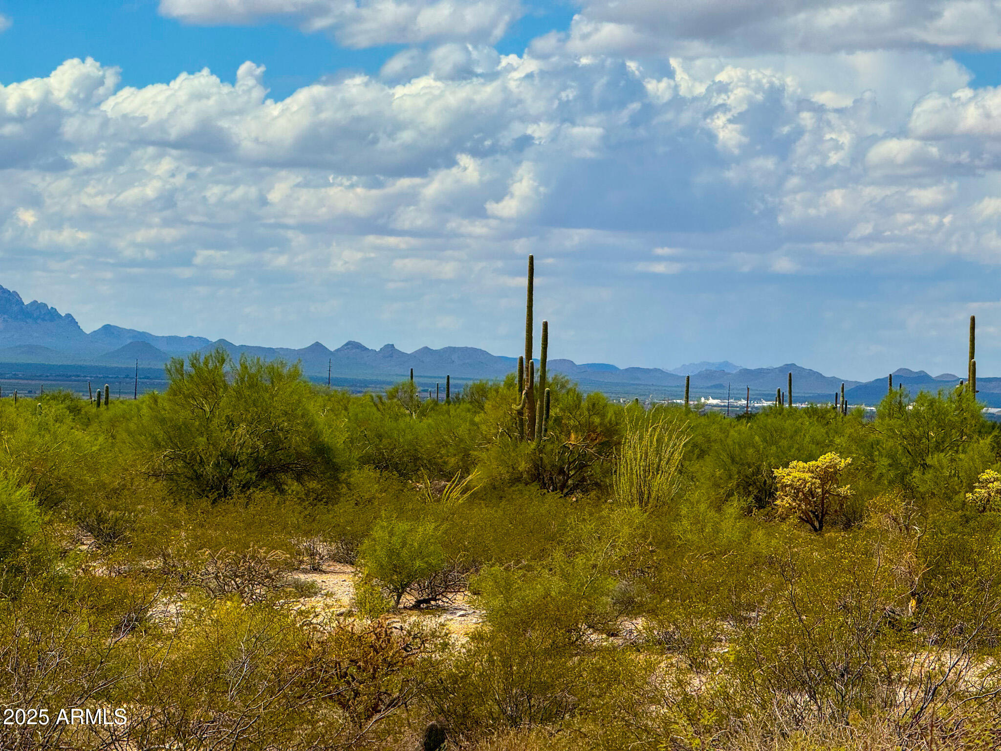 0 South Twin Hawk Lane Marana, AZ 85658 - Photo 5 of 28
