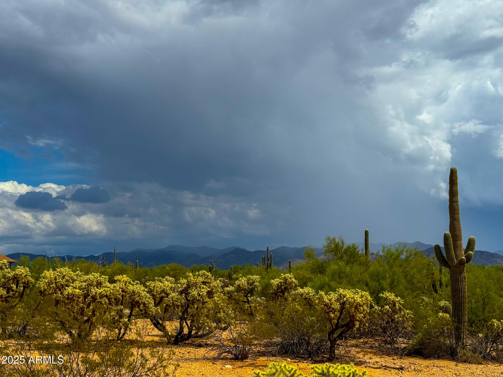 0 South Twin Hawk Lane Marana, AZ 85658 - Photo 7 of 28 a view of a yard
