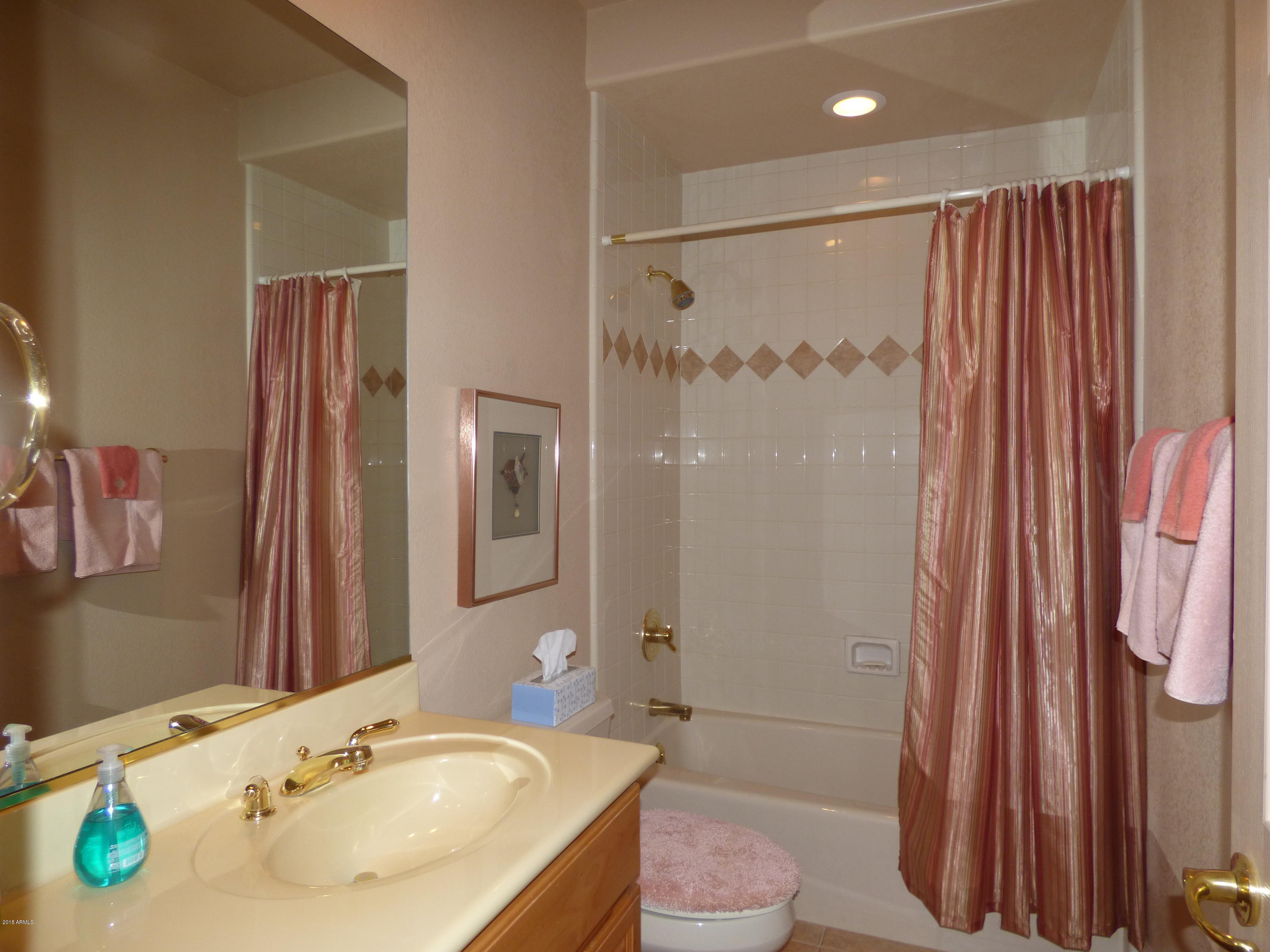 25621 North Sago Drive Rio Verde, AZ 85263 - Photo 21 of 29 Guest Bath