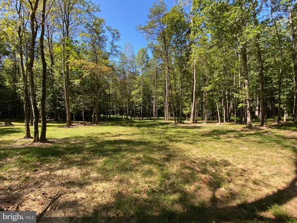$495,000 | 4601 South Blue Ridge Turnpike, Rochelle, VA 22738