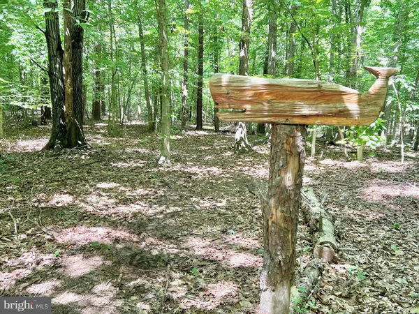 $495,000 | 4601 South Blue Ridge Turnpike, Rochelle, VA 22738