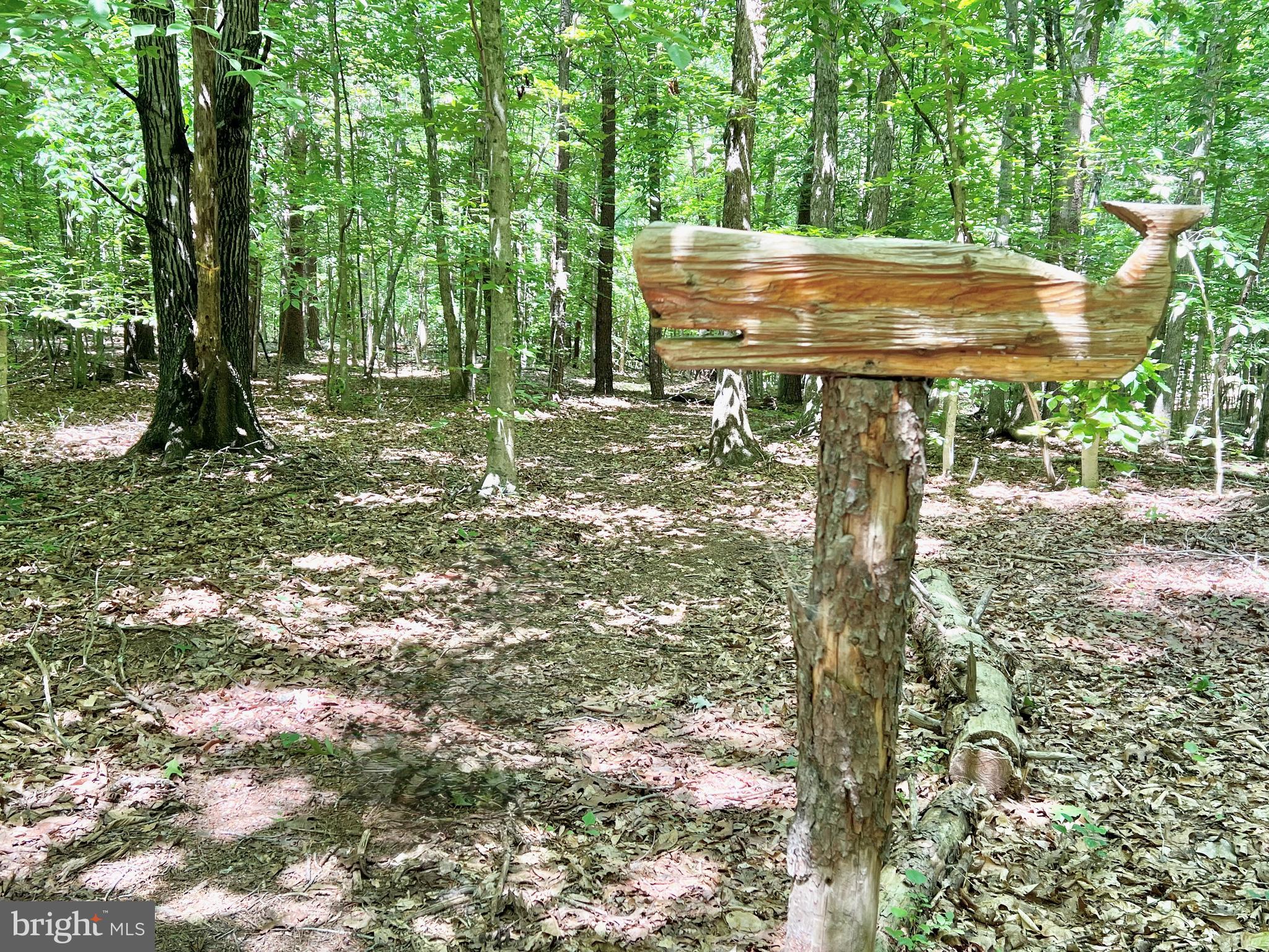 4601 South Blue Ridge Turnpike Rochelle, VA 22738 - Photo 32 of 49