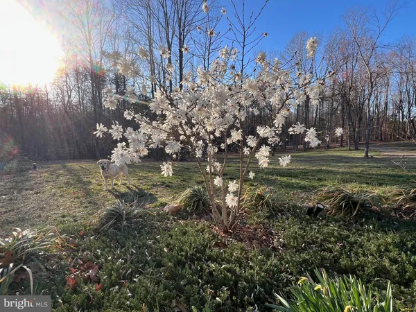 $495,000 | 4601 South Blue Ridge Turnpike, Rochelle, VA 22738