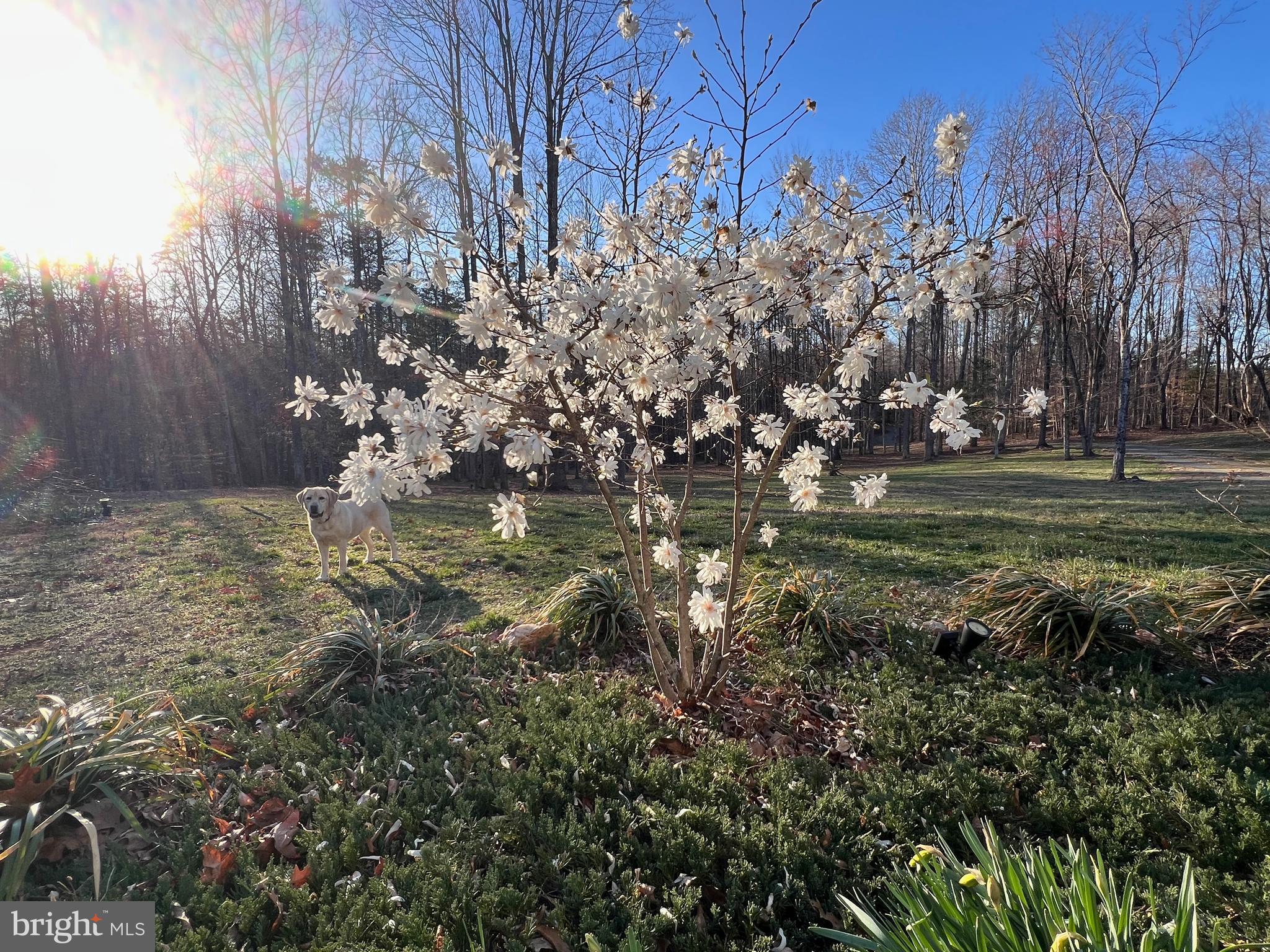 4601 South Blue Ridge Turnpike Rochelle, VA 22738 - Photo 33 of 49