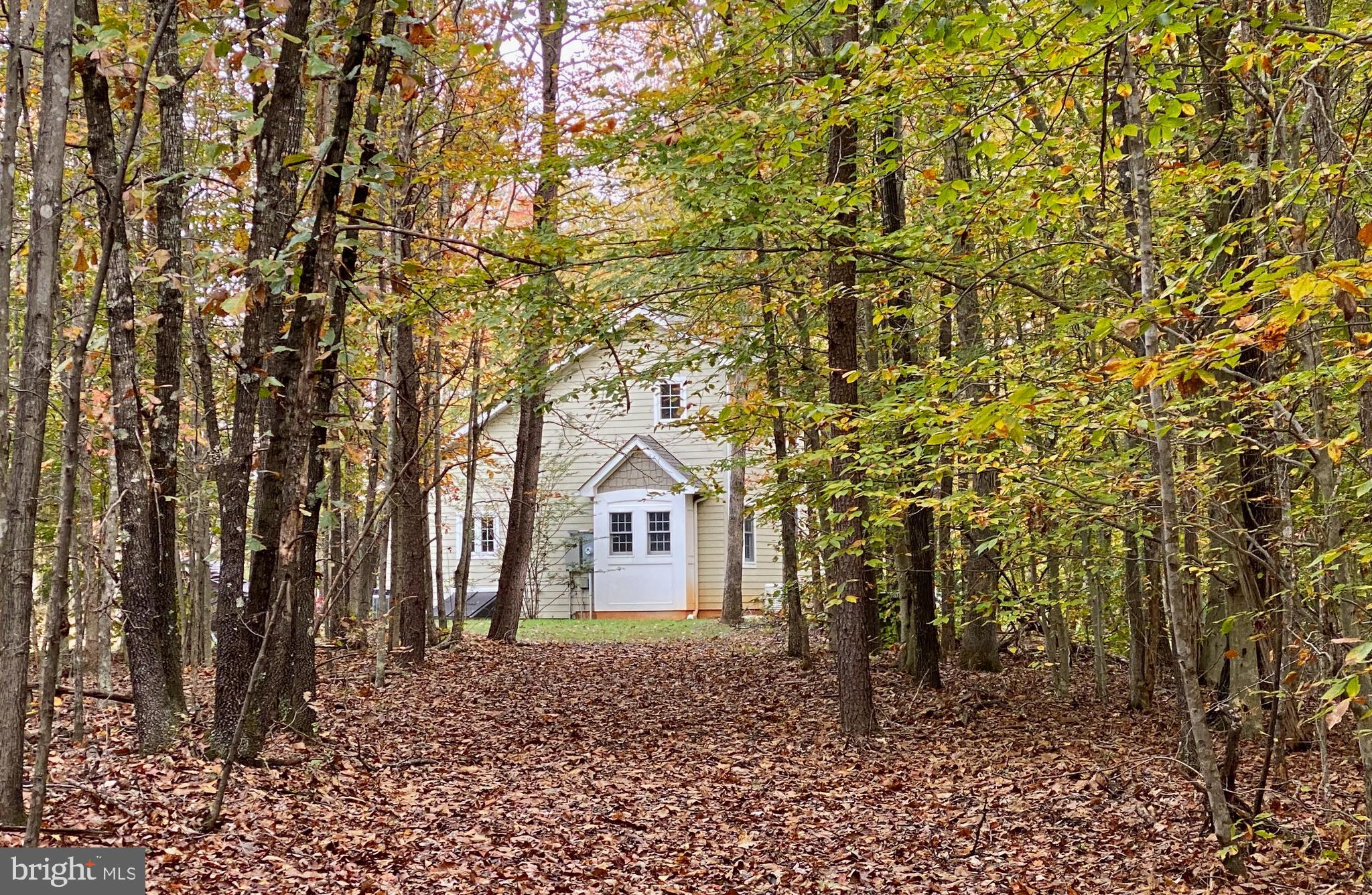 4601 South Blue Ridge Turnpike Rochelle, VA 22738 - Photo 34 of 49