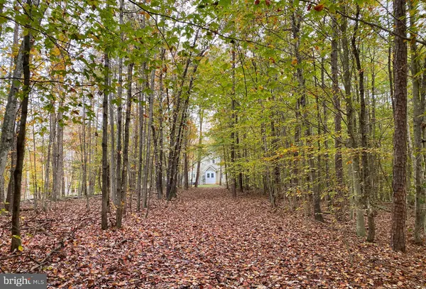 $495,000 | 4601 South Blue Ridge Turnpike, Rochelle, VA 22738