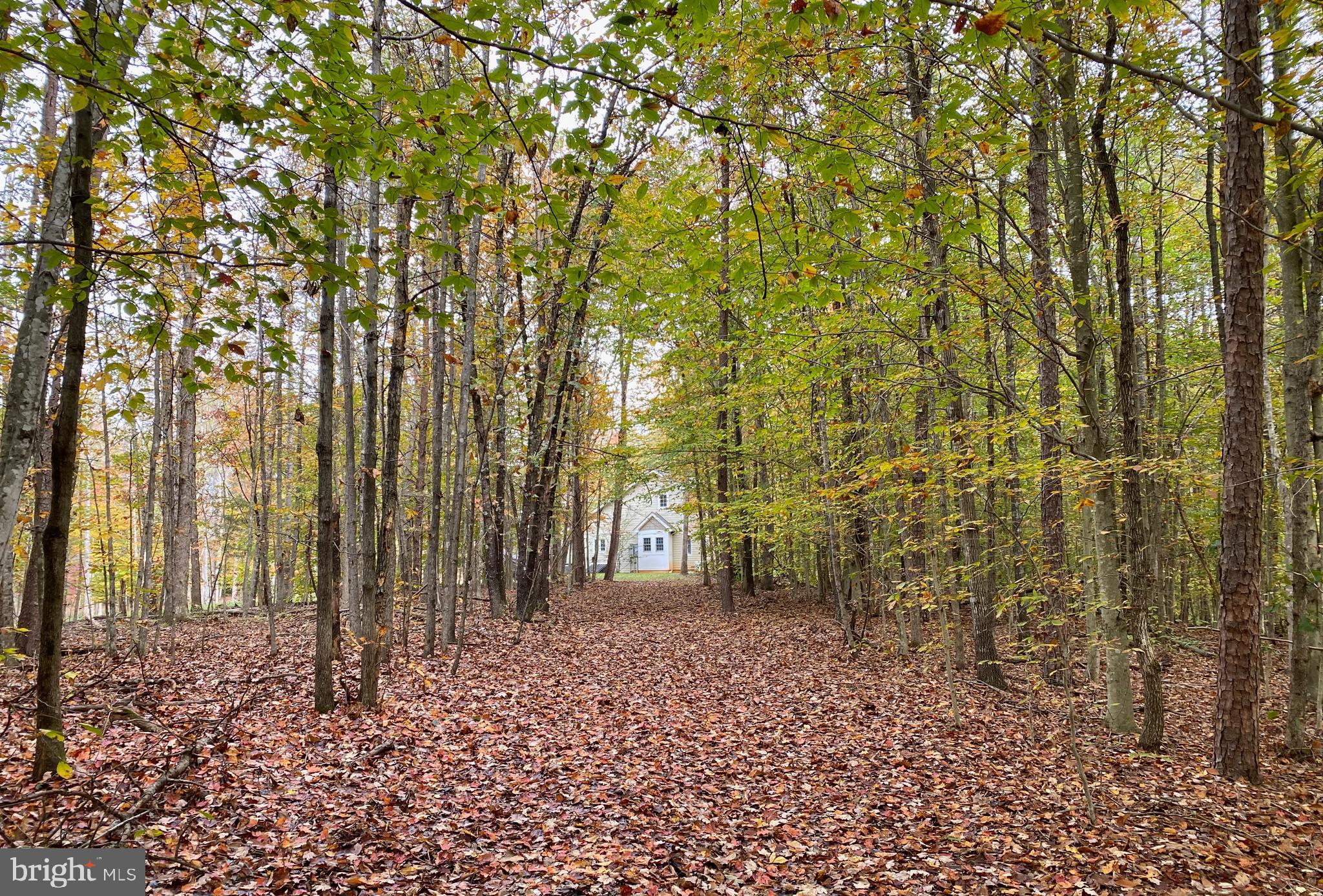 4601 South Blue Ridge Turnpike Rochelle, VA 22738 - Photo 35 of 49