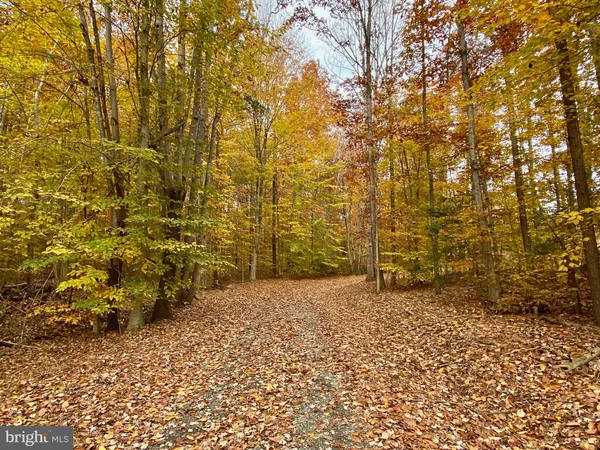 $495,000 | 4601 South Blue Ridge Turnpike, Rochelle, VA 22738