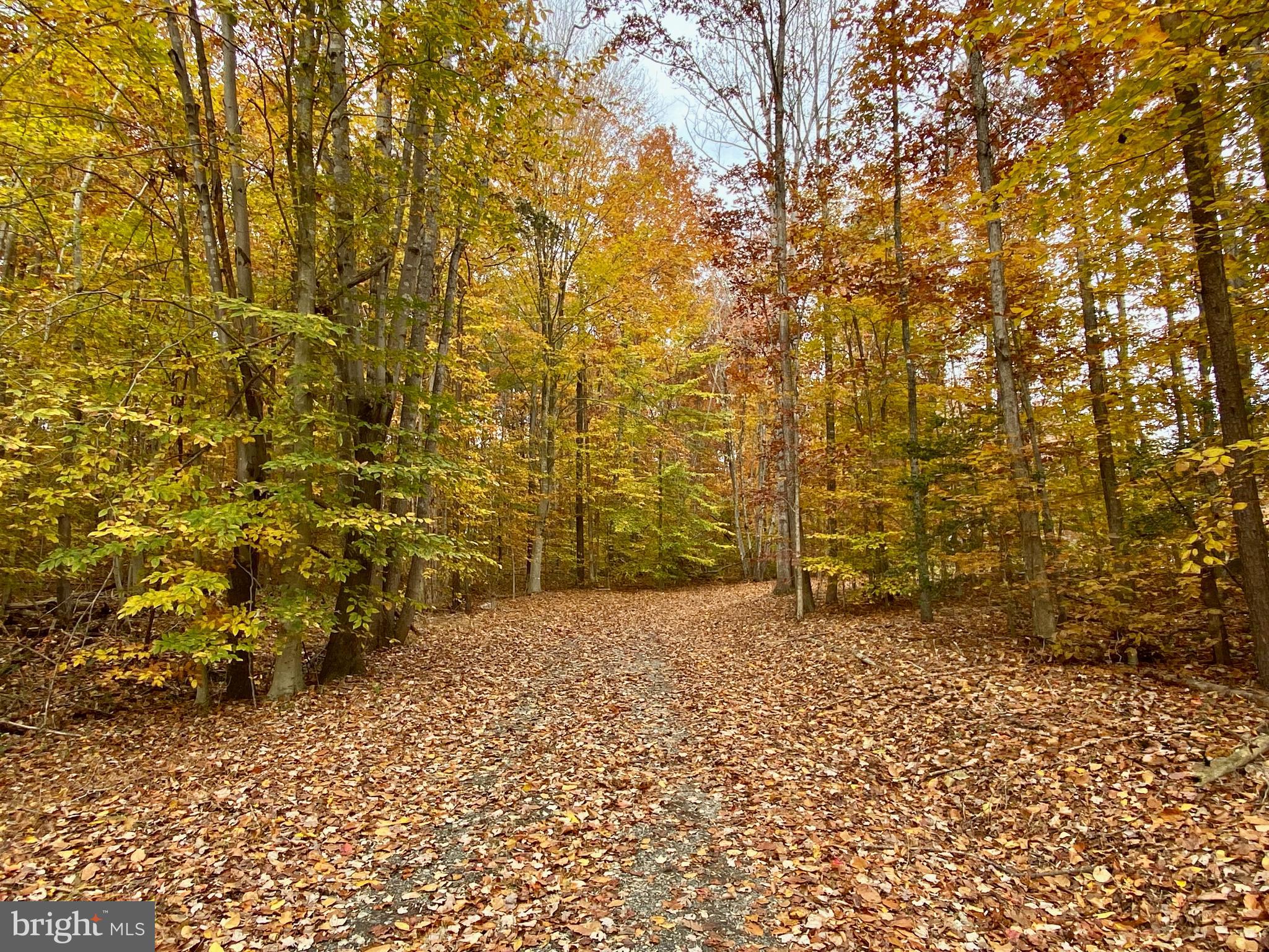 4601 South Blue Ridge Turnpike Rochelle, VA 22738 - Photo 36 of 49