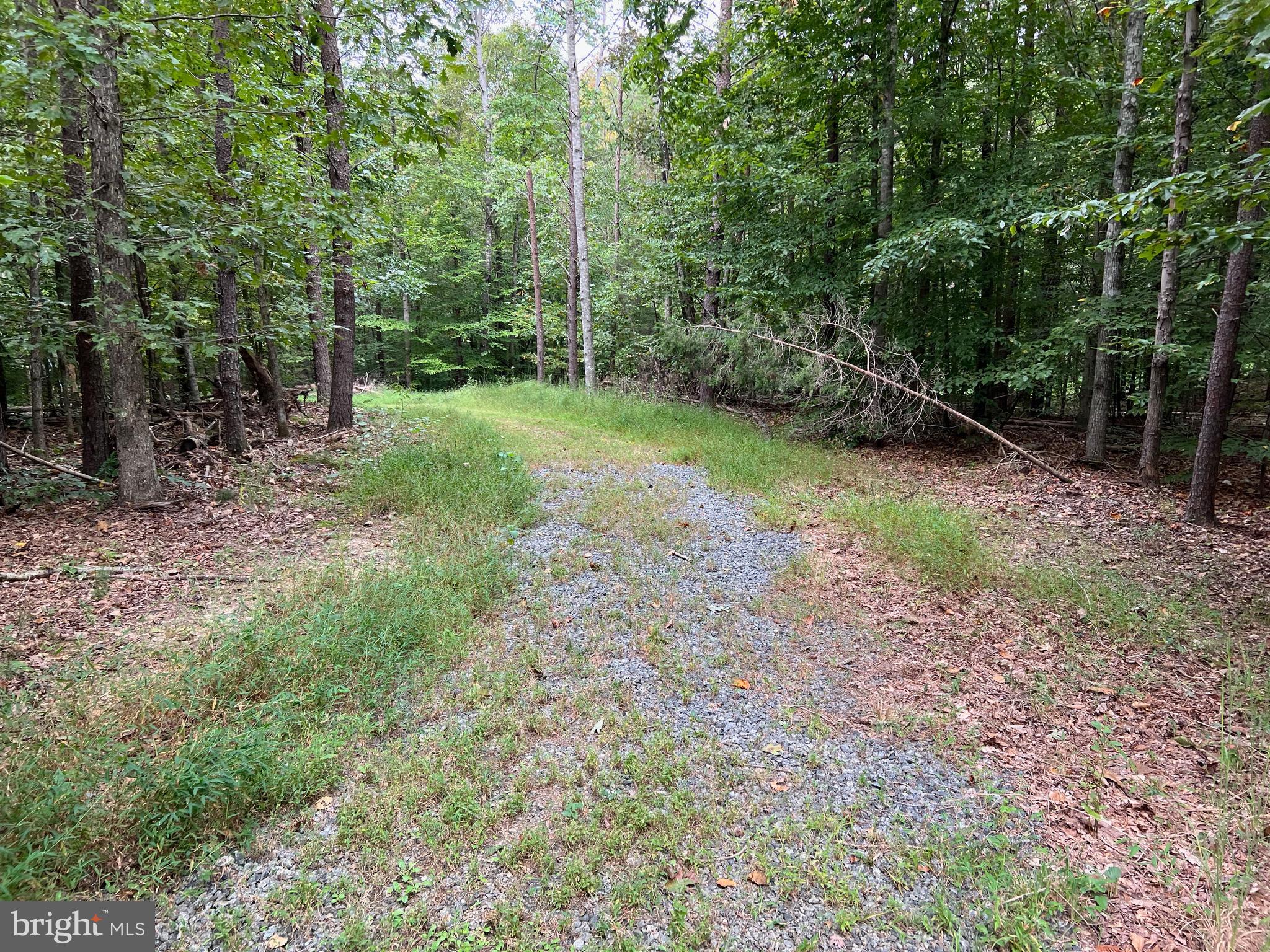 4601 South Blue Ridge Turnpike Rochelle, VA 22738 - Photo 38 of 49