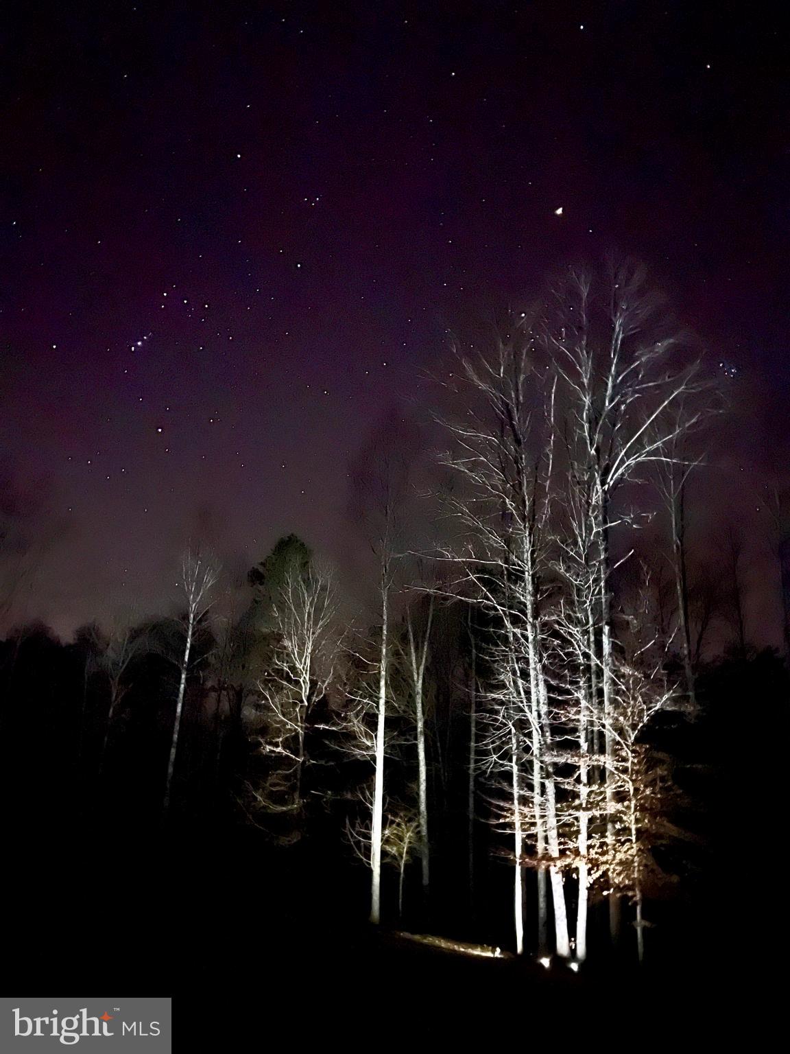 4601 South Blue Ridge Turnpike Rochelle, VA 22738 - Photo 39 of 49