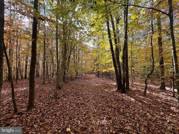 $495,000 | 4601 South Blue Ridge Turnpike, Rochelle, VA 22738