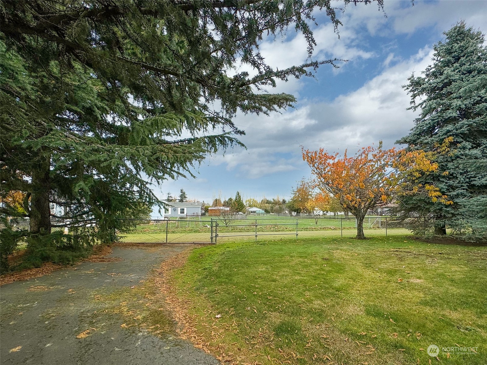 241 Evans Road Sequim, WA 98382 - Photo 40 of 40 a view of large trees with a big yard