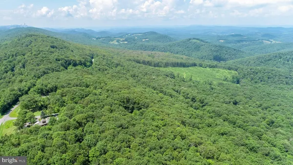a view of a city with lush green forest