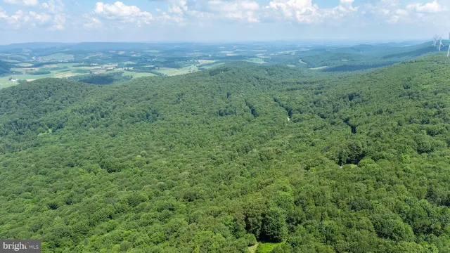 a view of a green field with lots of bushes